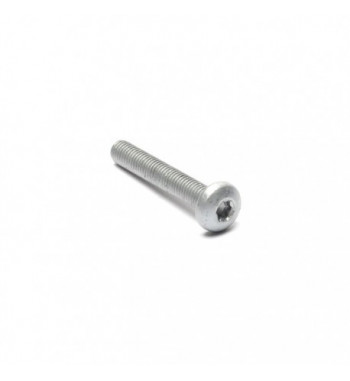 Tornillo Bisagra Porton M8x50