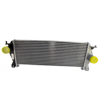 Intercooler TD5Puma